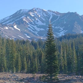 Mt. Shasta trails, about 40 min drive from campground