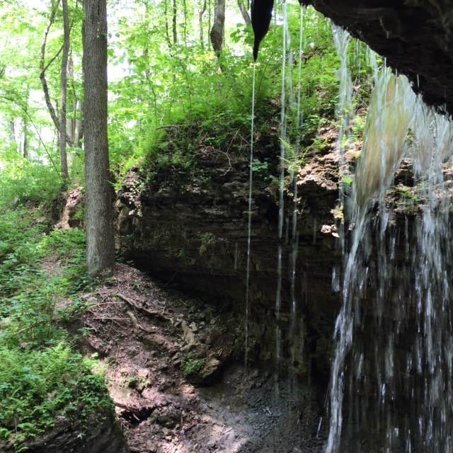 Camper submitted image from Clifty Falls State Park Campground - 3