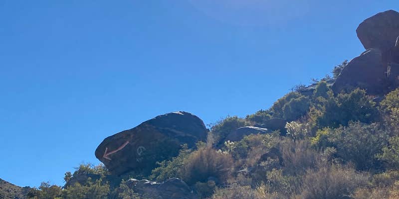 Camper submitted image from Packsaddle Recreation Site