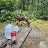 Review photo of Oxbow Regional Park by Kevin M., May 26, 2021