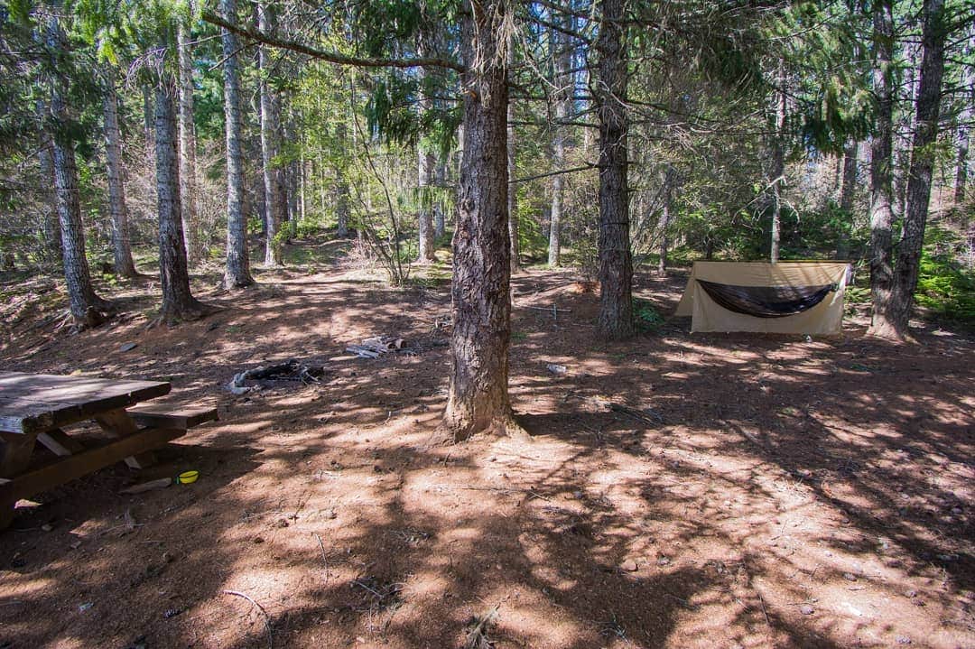 Escape to Serenity: Oregon's Meditation Point Campground