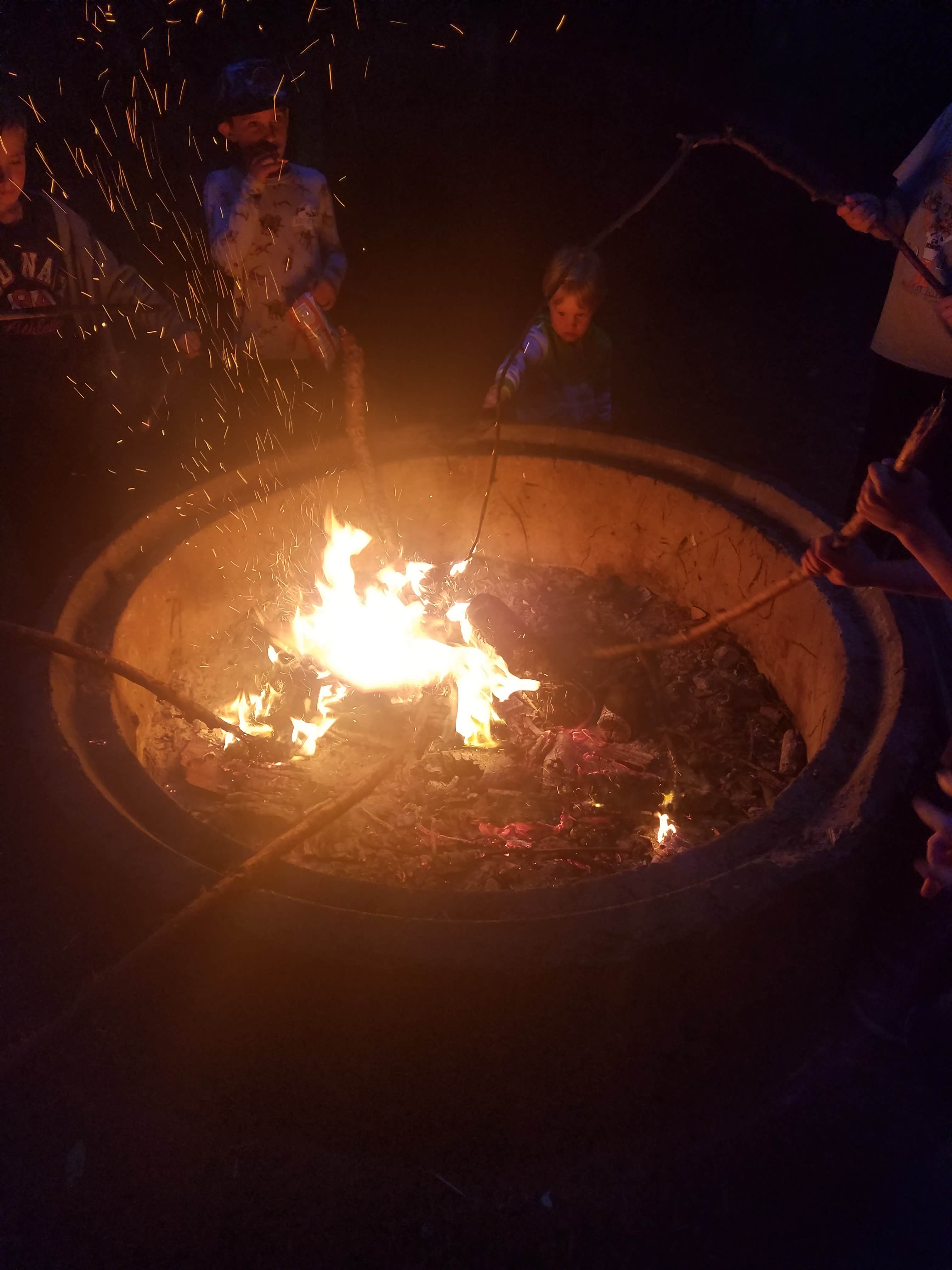 Camper submitted image from San Mateo Memorial Park - 3