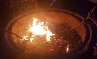 Carl N.'s photo at San Mateo Memorial Park near Belmont, CA