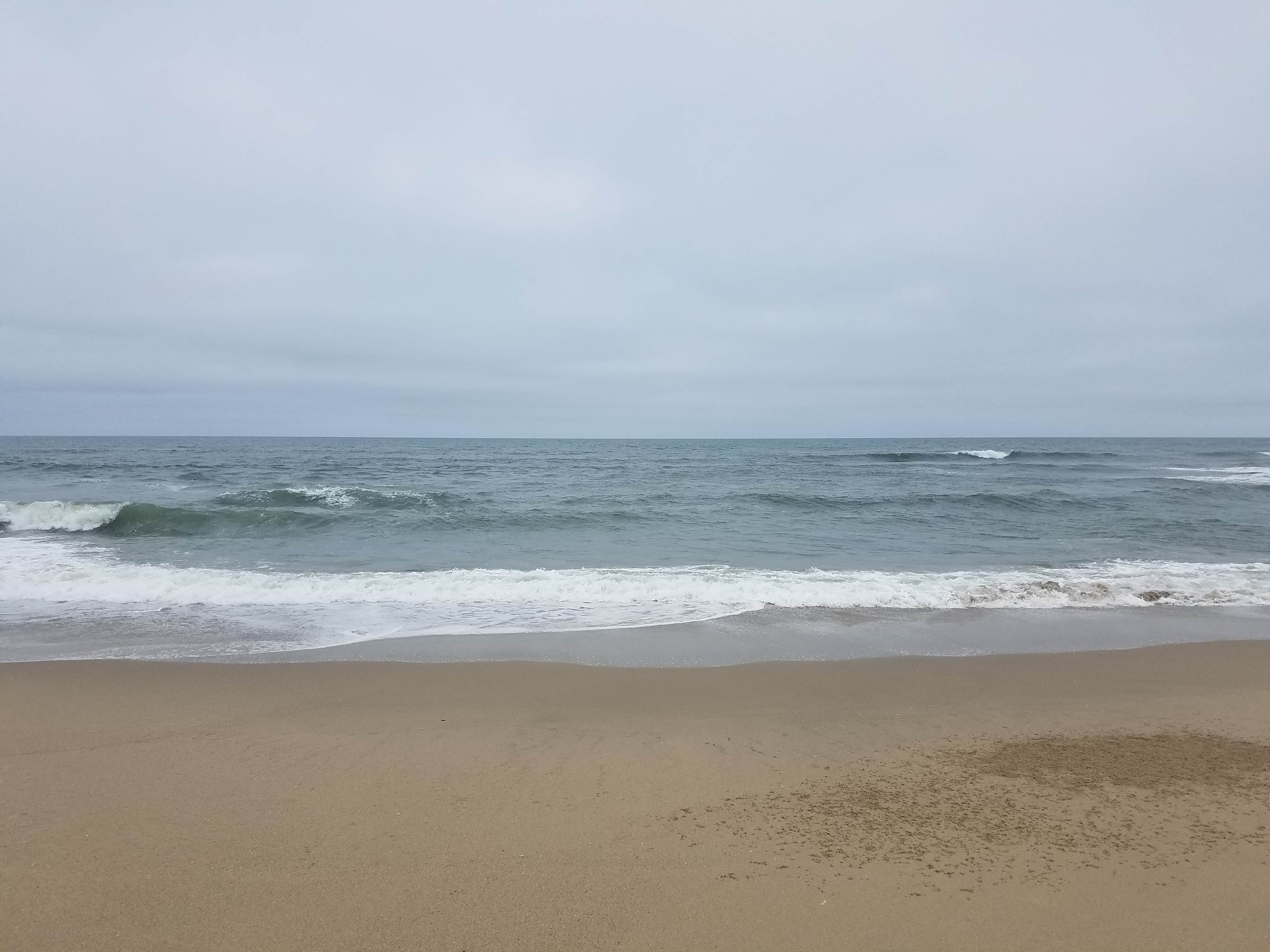 Camper-submitted photo at San Mateo Memorial Park near Woodside, CA