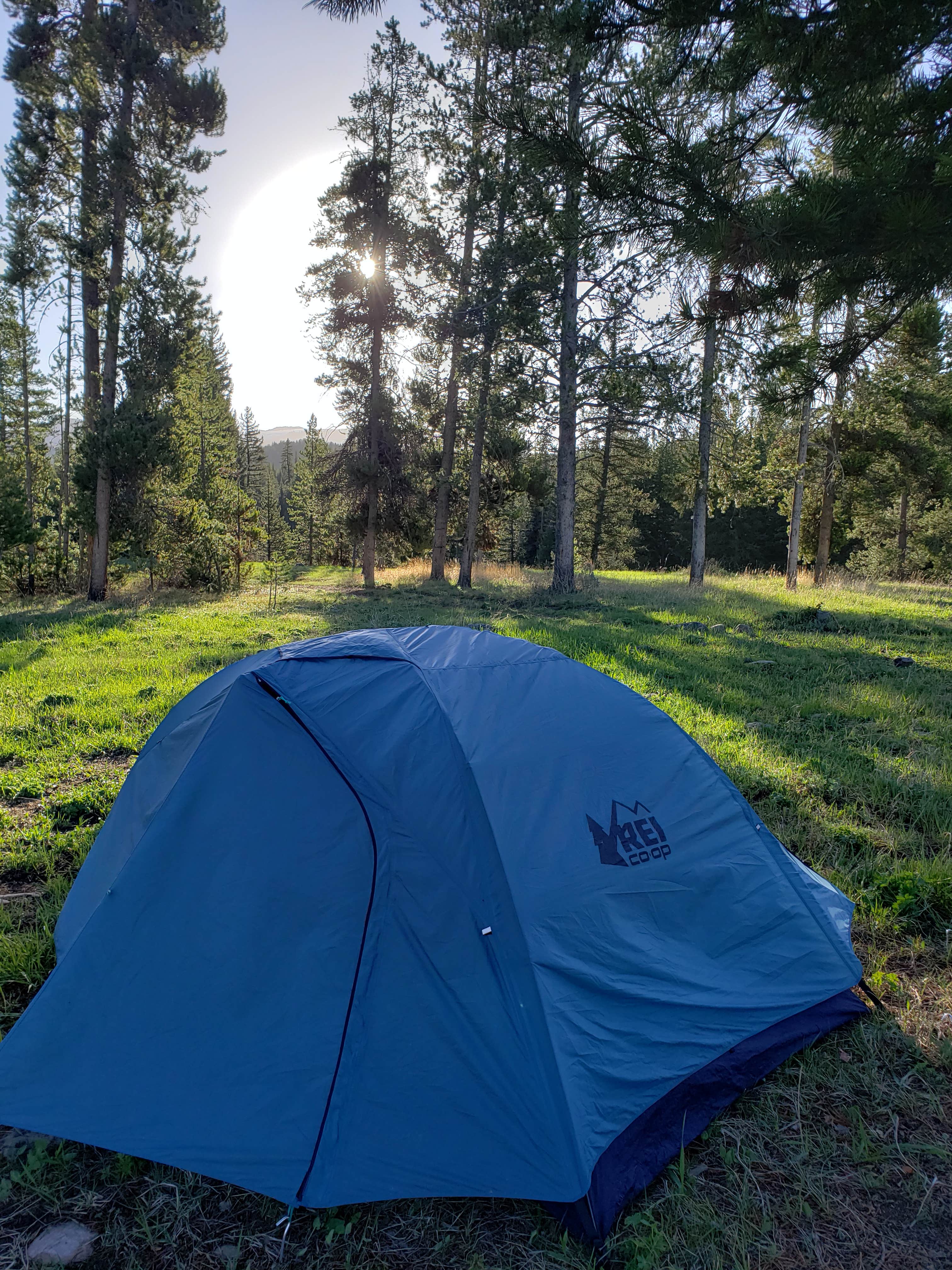 Camper-submitted photo at Turpin Meadow Campground near Grand Teton National Park