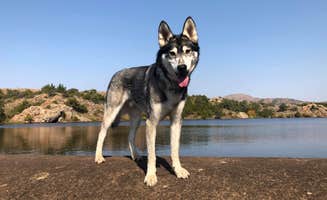 Amber G.'s photo of camping with pets at Wichita Mountains Wildlife Refuge Campground near Mountain Park, OK