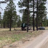 Review photo of Lockett Meadow Dispersed Camping by Ray & Terri F., May 27, 2021