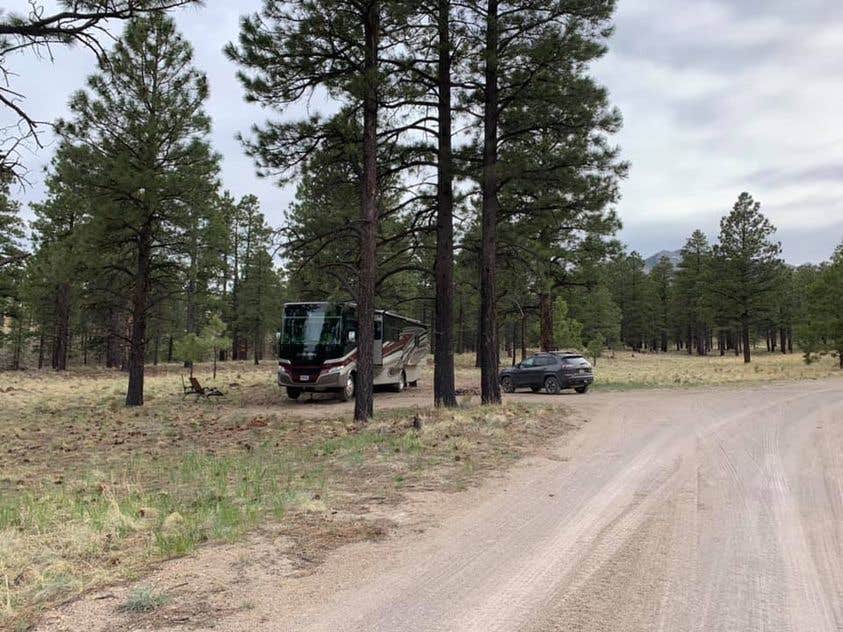 Camper submitted image from Lockett Meadow Dispersed Camping - 4