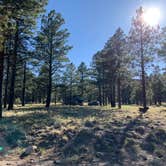 Review photo of Lockett Meadow Dispersed Camping by Ray & Terri F., May 27, 2021