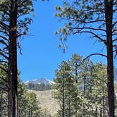 Review photo of Lockett Meadow Dispersed Camping by Ray & Terri F., May 27, 2021