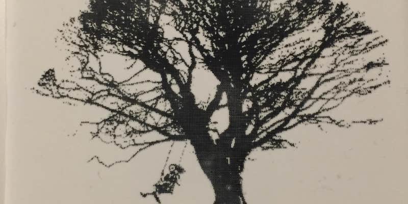 Camper submitted image from Eden Oaks Vineyard and Campground