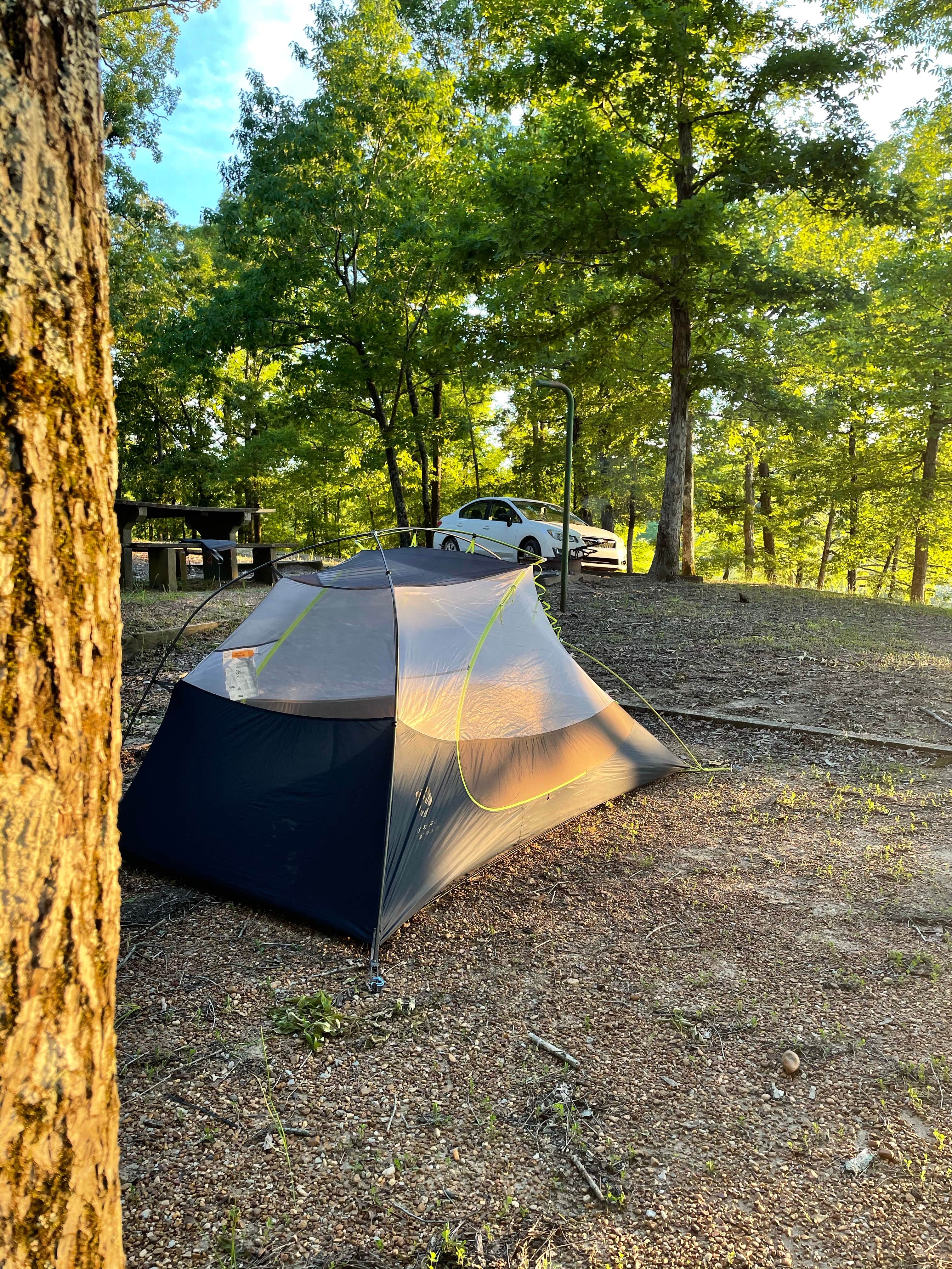 Natalee F.'s photo of tent camping at Puskus Lake in Mississippi