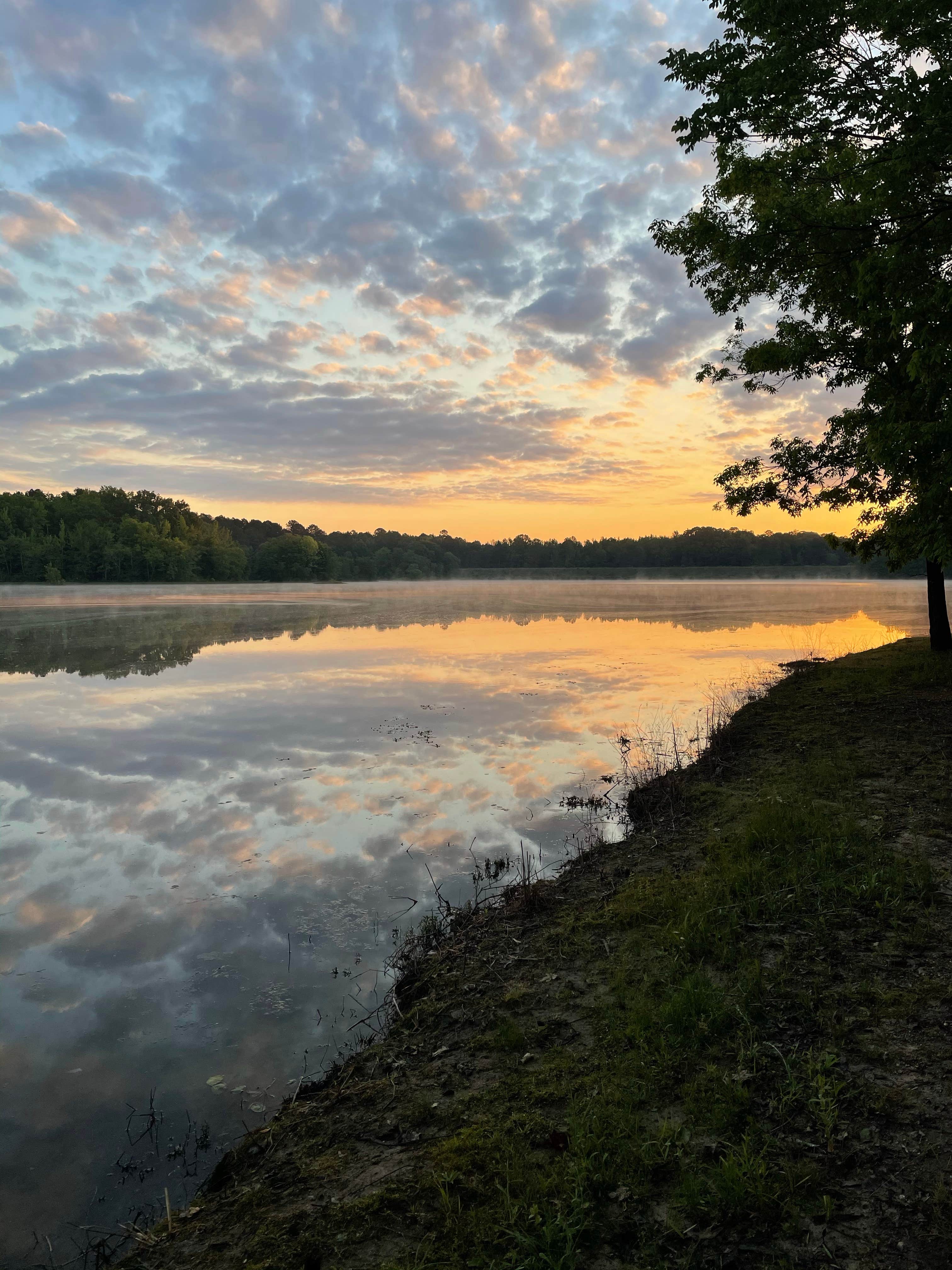 Puskus Lake Camping | Oxford, MS