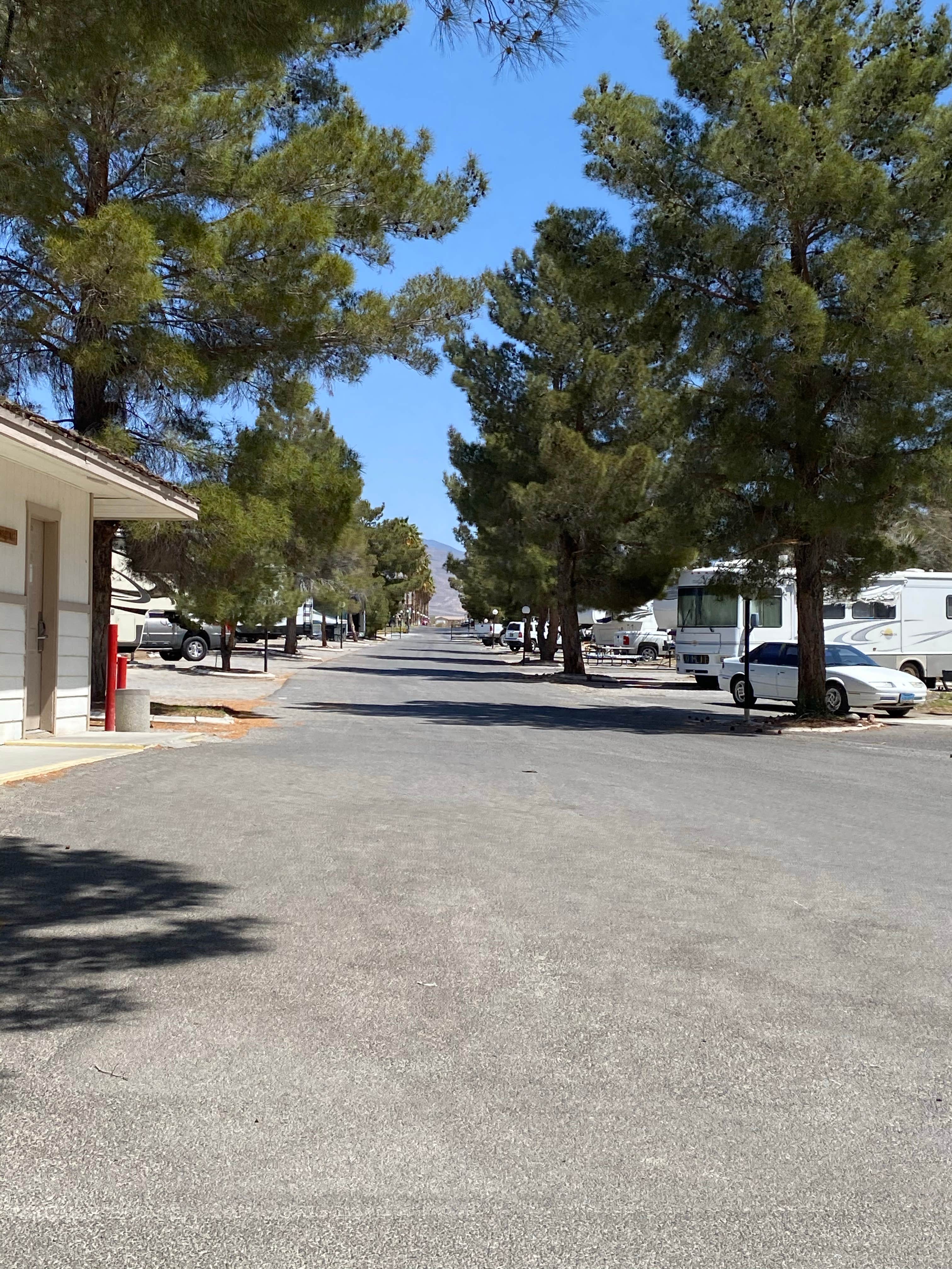 Camper submitted image from Pahrump Station RV Park - 4