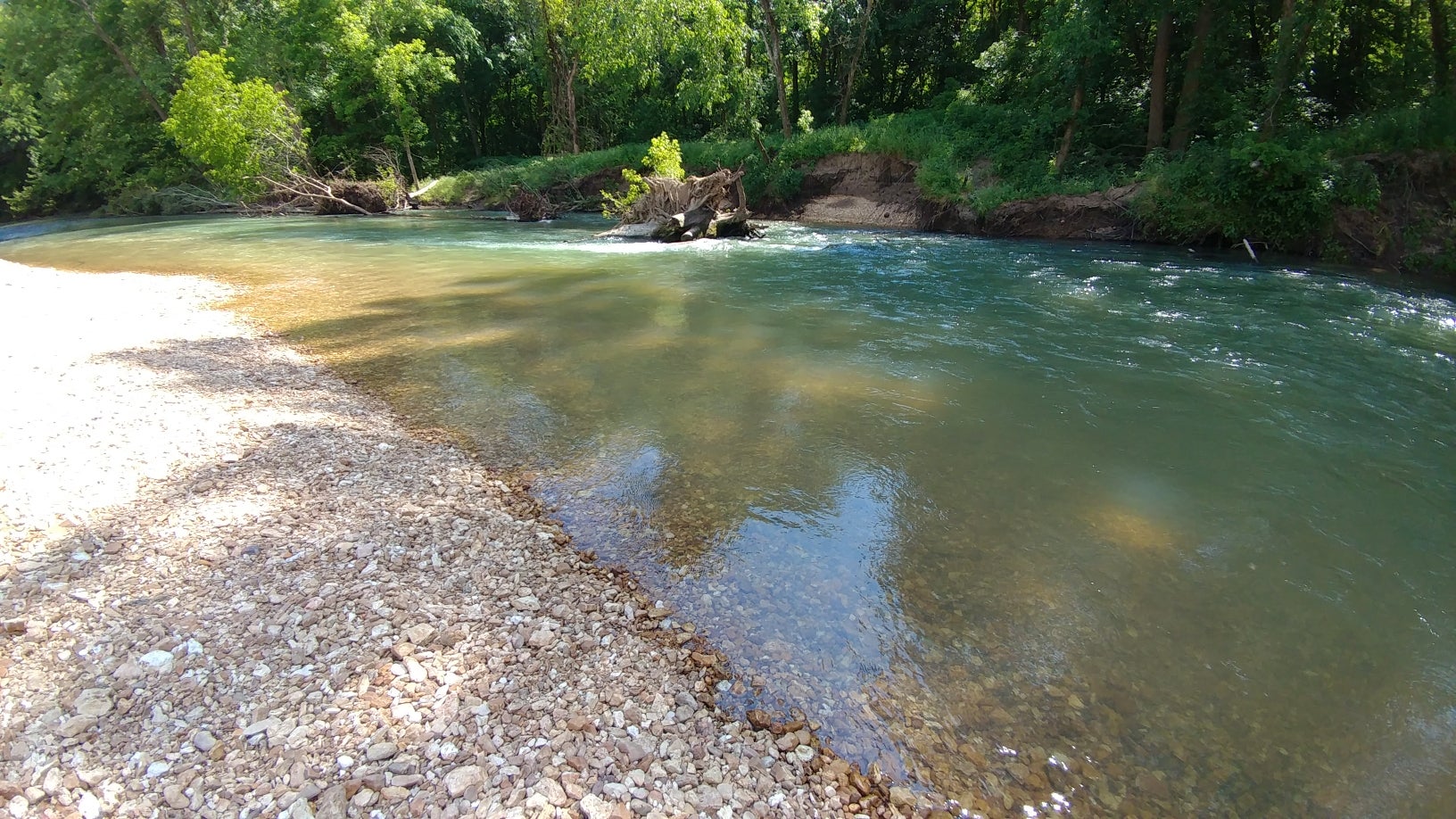 Camper submitted image from Current River Recreation Area - 2