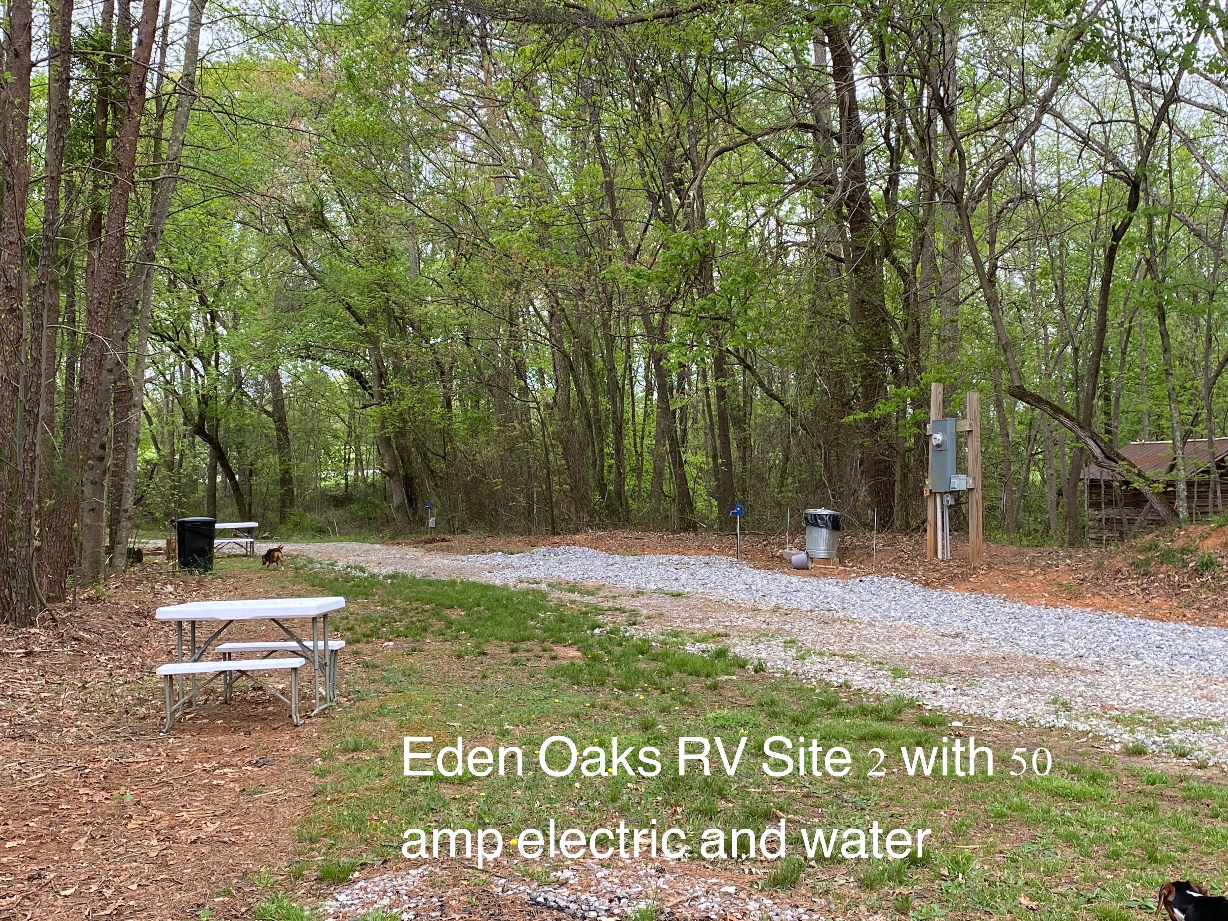 Camper submitted image from Eden Oaks Vineyard and Campground - 2
