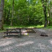 Review photo of Cosby Campground — Great Smoky Mountains National Park by Natalee F., May 27, 2021