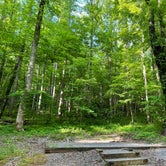 Review photo of Cosby Campground — Great Smoky Mountains National Park by Natalee F., May 27, 2021
