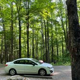 Review photo of Cosby Campground — Great Smoky Mountains National Park by Natalee F., May 27, 2021