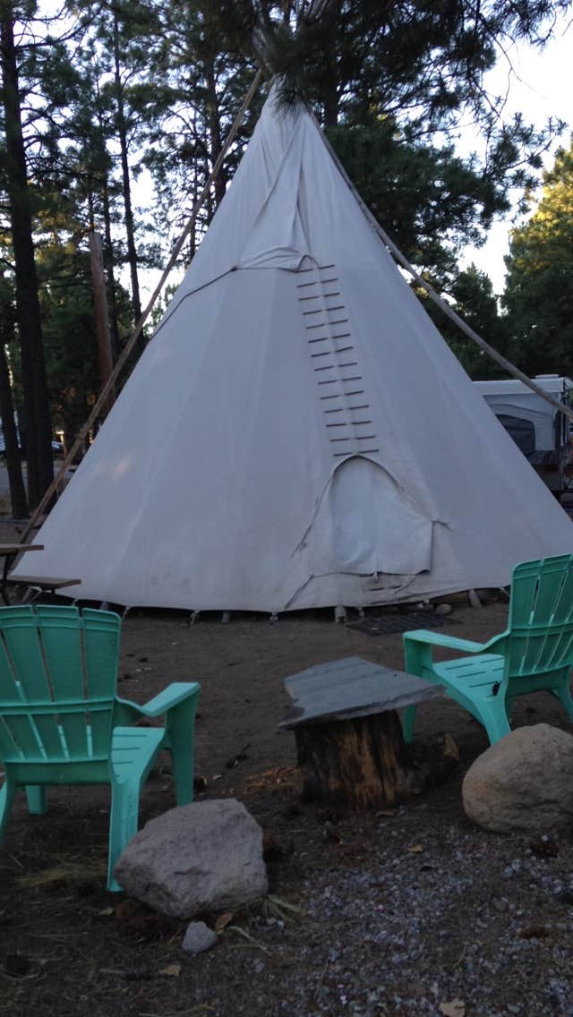 Camper submitted image from Flagstaff KOA - 4