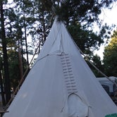 Review photo of Flagstaff KOA by Molly M., July 15, 2016
