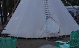 Molly M.'s photo at Flagstaff KOA near Flagstaff, AZ