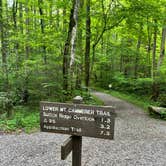 Review photo of Cosby Campground — Great Smoky Mountains National Park by Natalee F., May 27, 2021