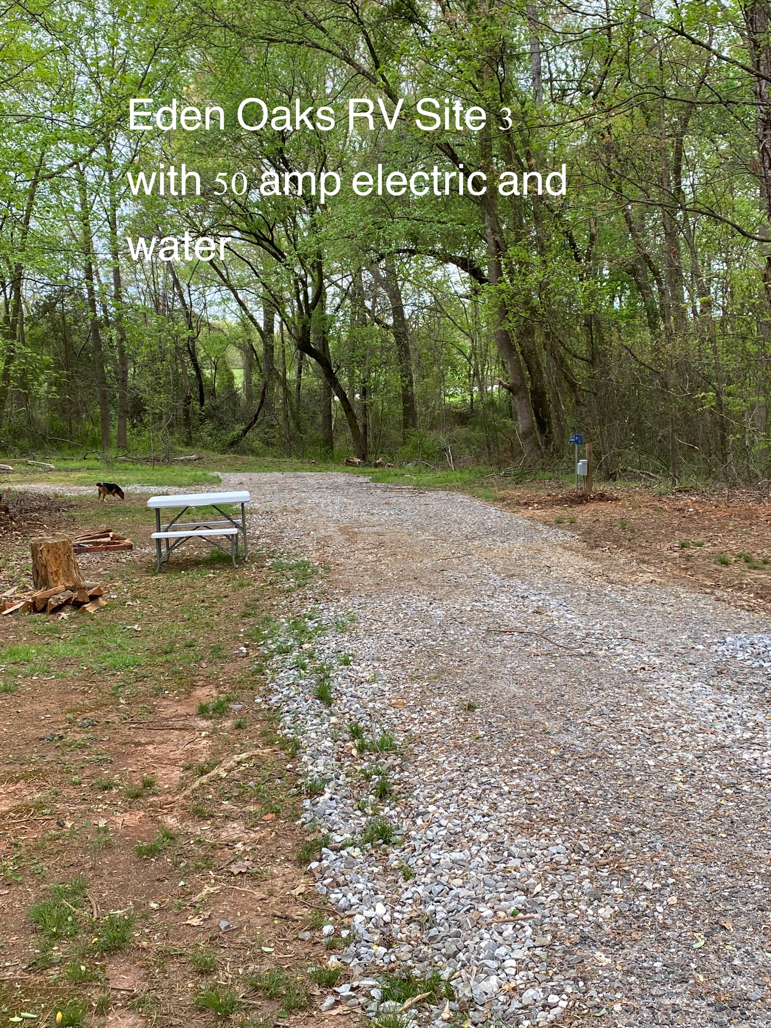 Camper submitted image from Eden Oaks Vineyard and Campground - 3