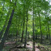 Review photo of Houck - Cunningham Falls State Park by Andrew M., May 27, 2021