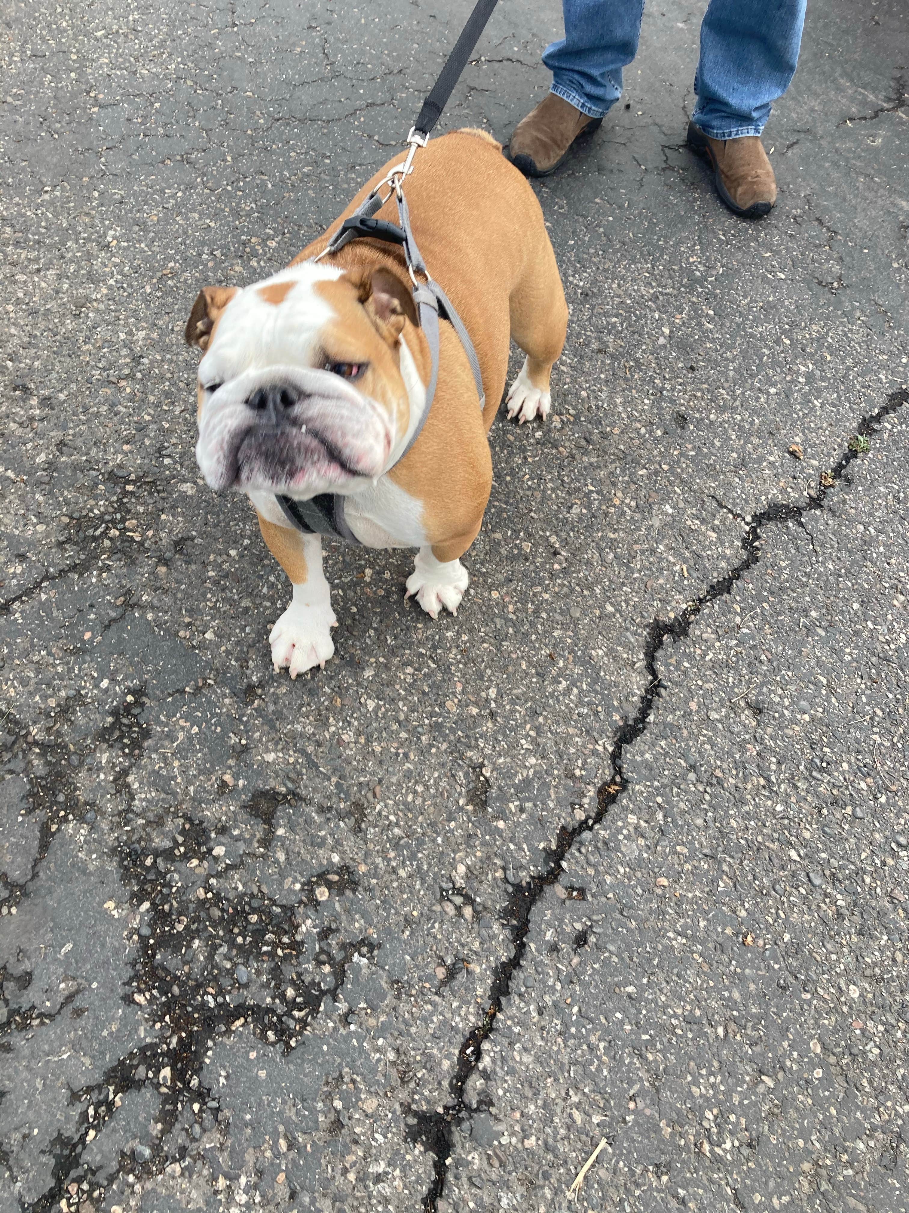 Camper-submitted photo at Billings Village RV Park near Cowley, WY
