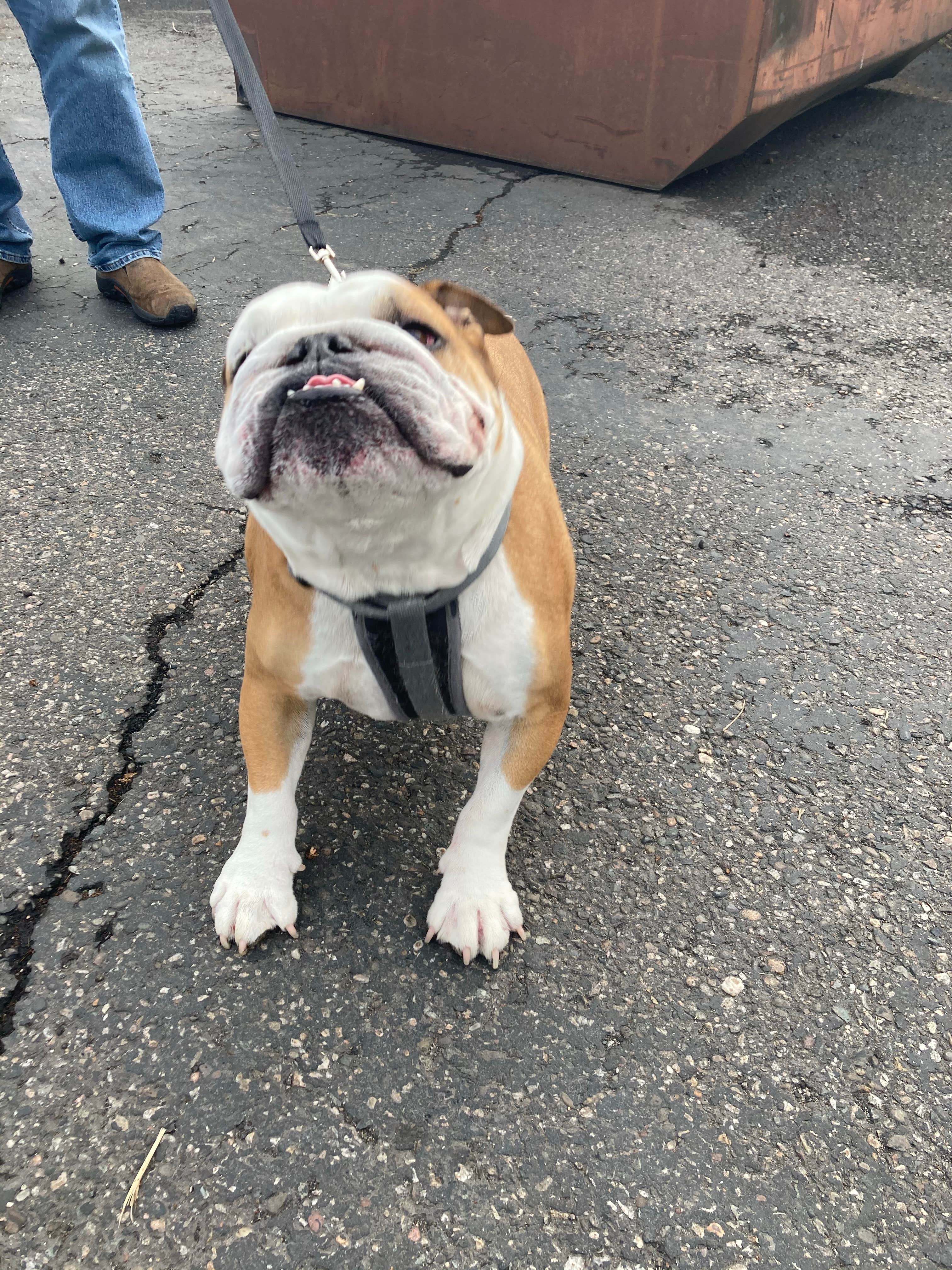 Camper-submitted photo at Billings Village RV Park near Cowley, WY