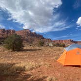 Review photo of Route 24 dispersed Camp - Capitol Reef by Jamie H., May 27, 2021