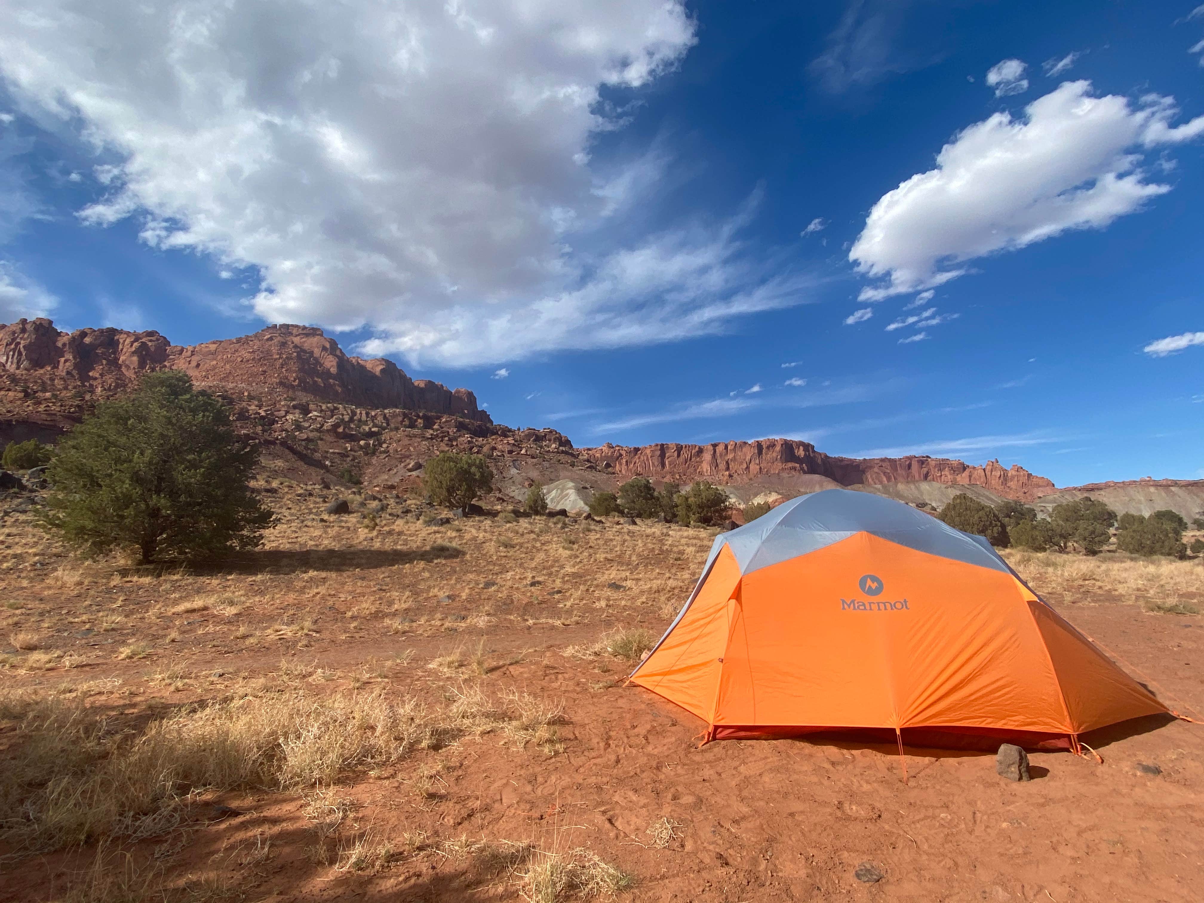 Camper submitted image from Route 24 dispersed Camp - Capitol Reef - 5