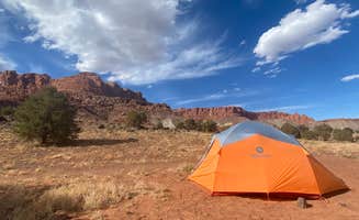 Jamie H.'s photo of a dispersed camping area at Route 24 Dispersed Camping - Capitol Reef near Bicknell, UT