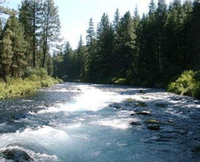 Camper-submitted photo at Black Butte Resort Motel & RV Park near Terrebonne, OR