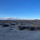 Review photo of Mojave National Preserve - 17 Mile Camp by Sean S., May 27, 2021