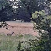 Review photo of Mother Neff State Park Campground by George B., May 24, 2021