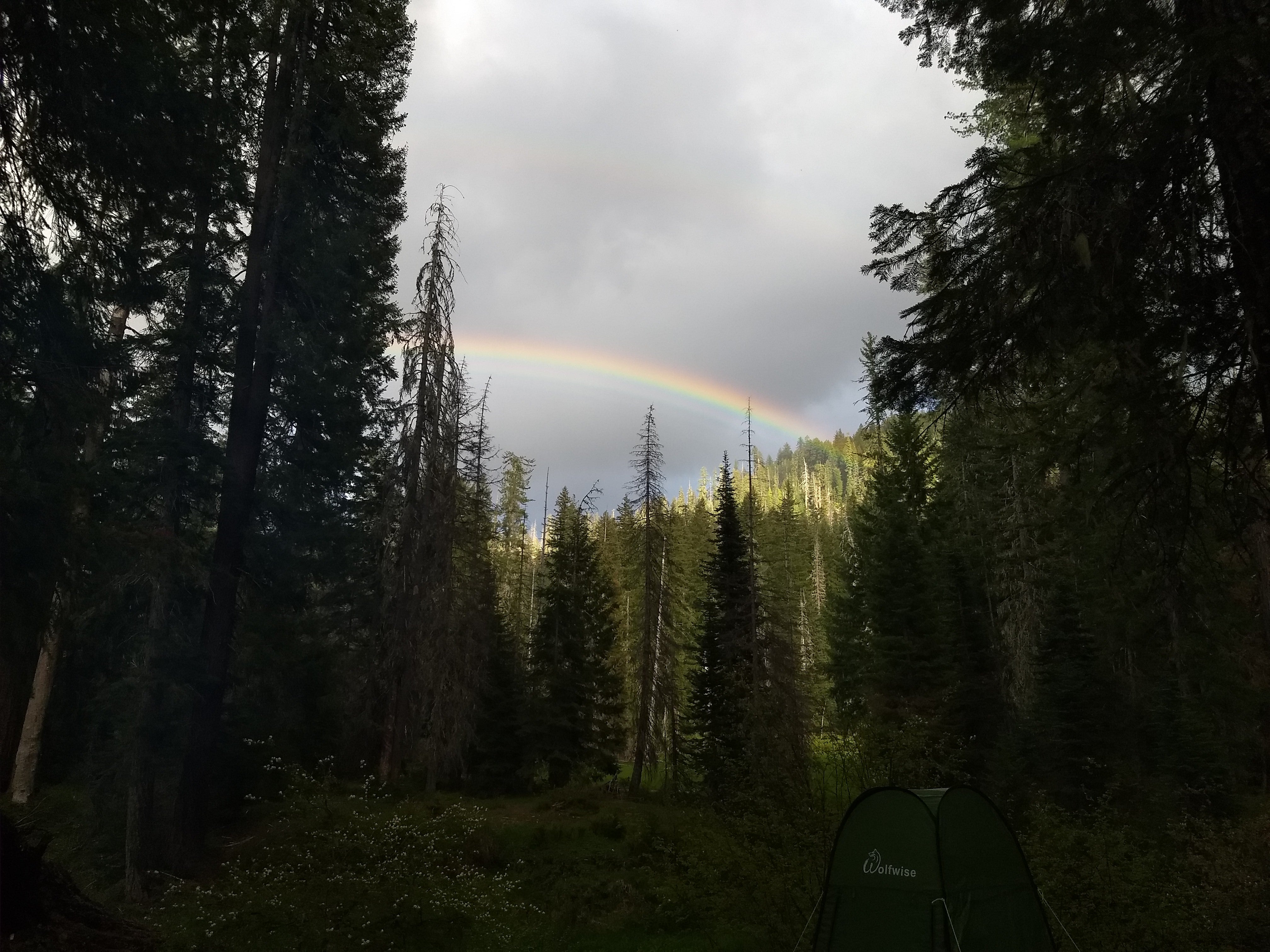Camper submitted image from Rogue River National Forest Hamaker Campground - 1