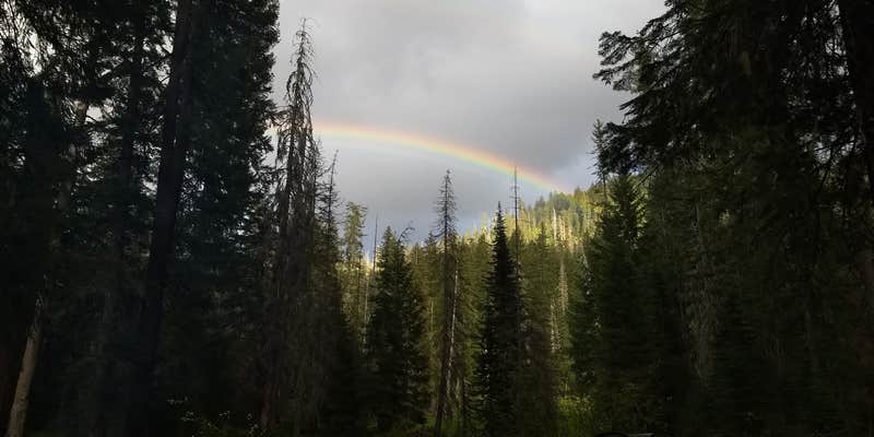 Camper submitted image from Rogue River National Forest Hamaker Campground