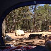 Review photo of Mather Campground — Grand Canyon National Park by Molly M., July 15, 2016
