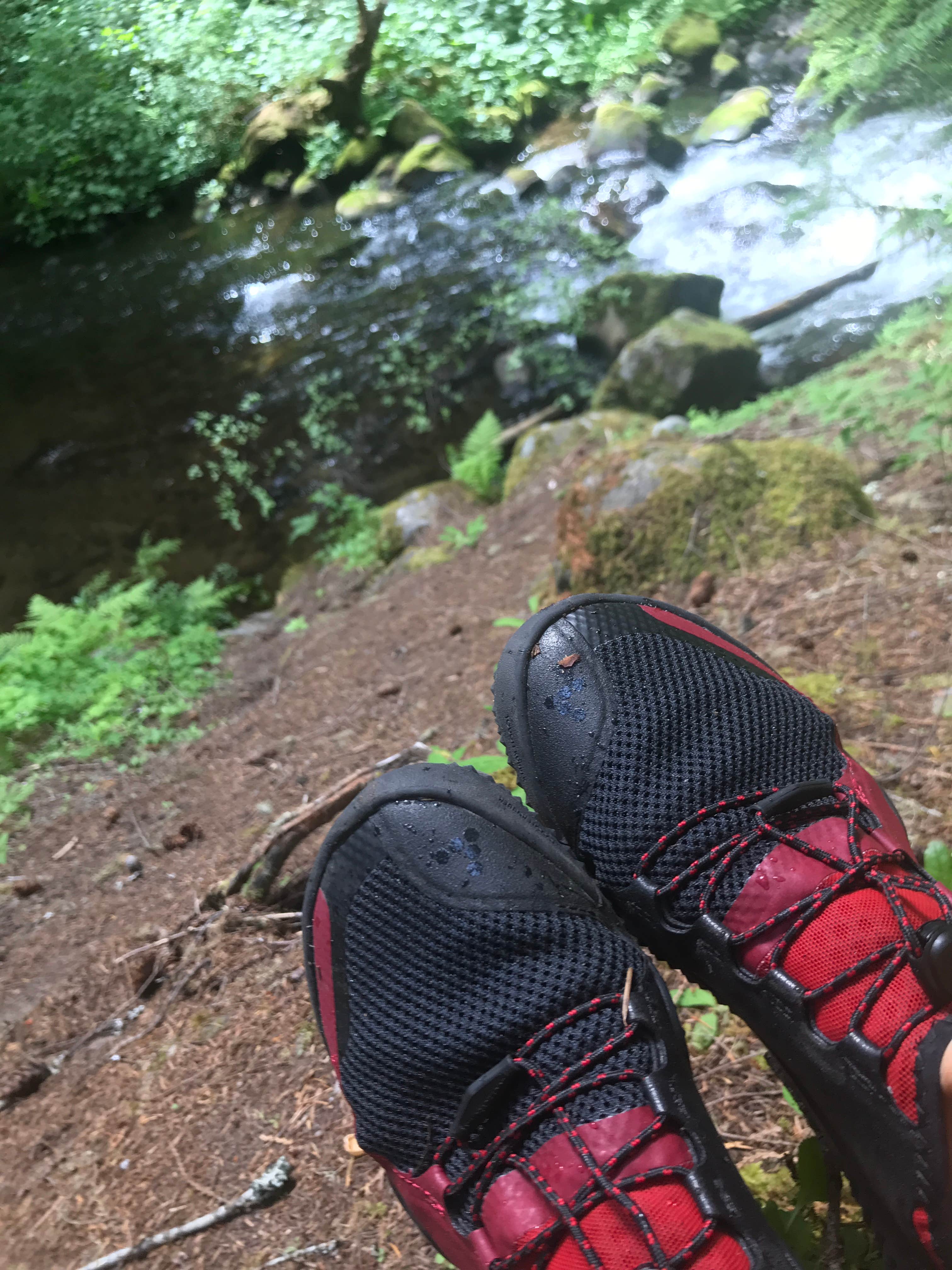 Camper submitted image from Camp Creek - 3