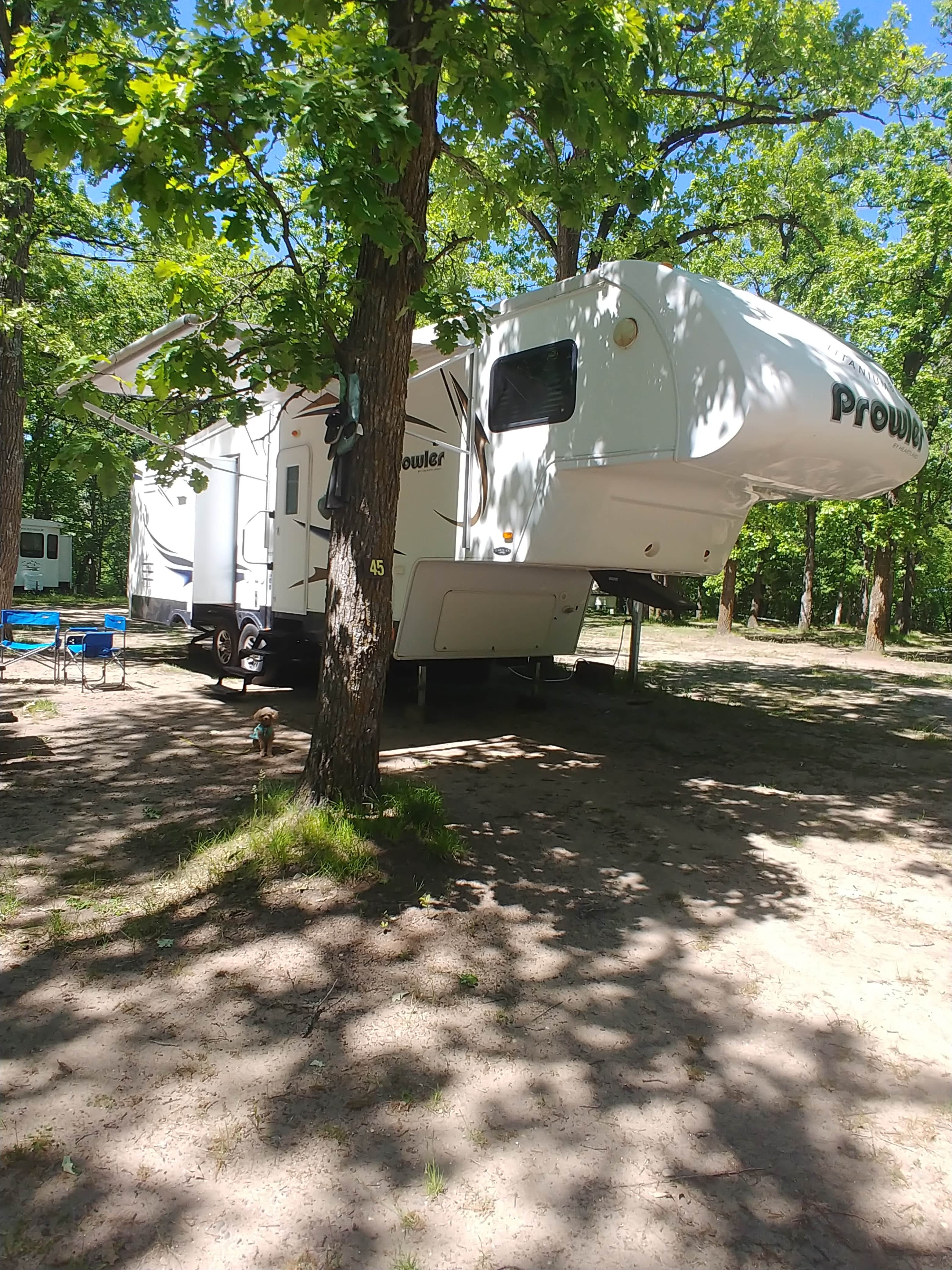 Camper-submitted photo at A J Acres Campground near Darwin, MN