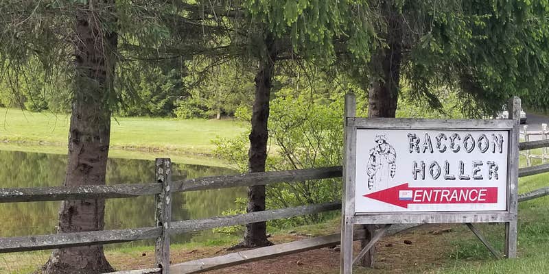 Camper submitted image from Raccoon Holler Campground