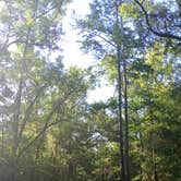 Review photo of River Junction Campground - Withlacoochee State Forest by Rusty R., May 27, 2021