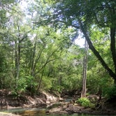 Review photo of River Junction Campground - Withlacoochee State Forest by Rusty R., May 27, 2021