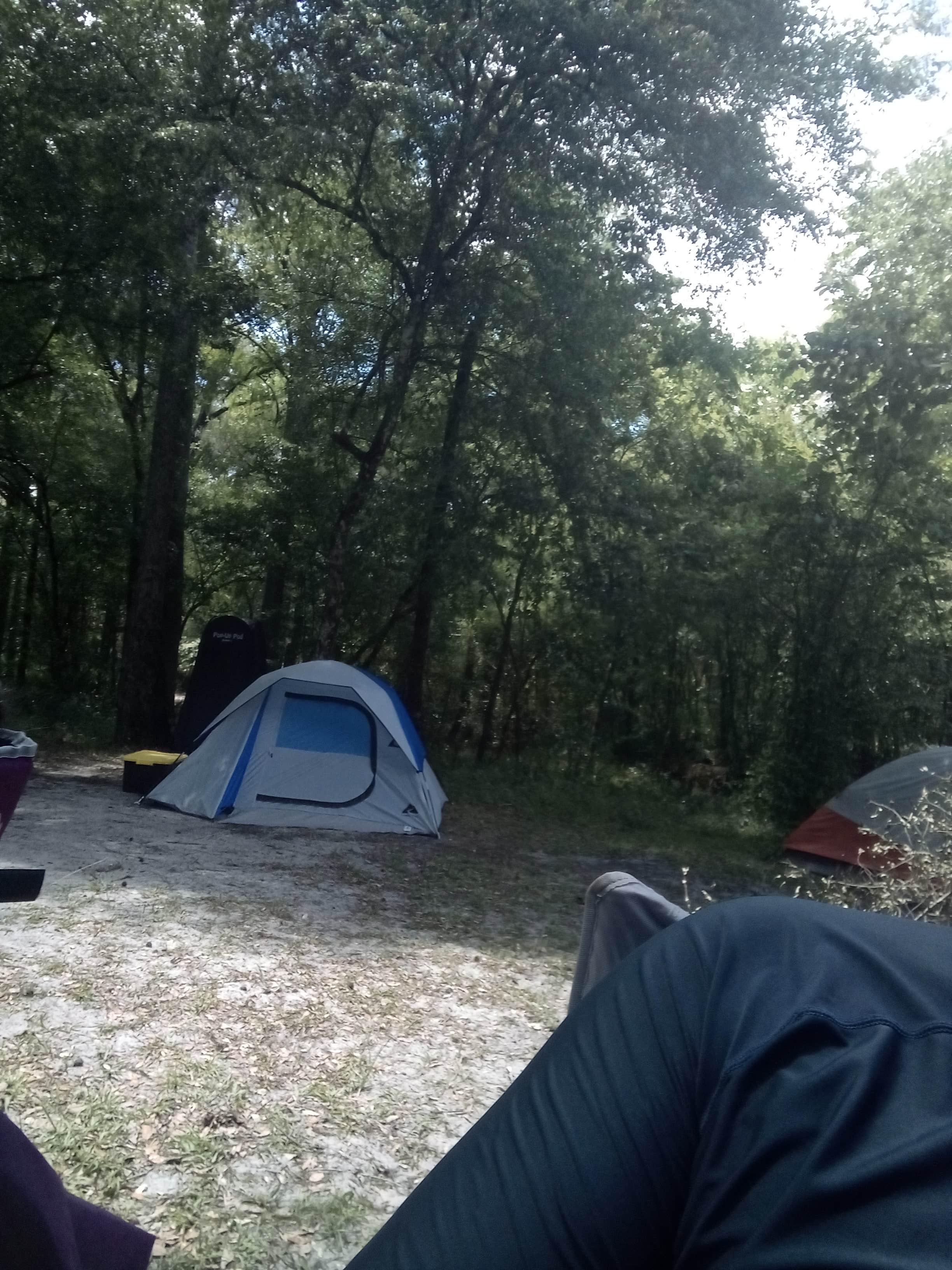 Camper submitted image from River Junction Campground — Withlacoochee State Forest - 4
