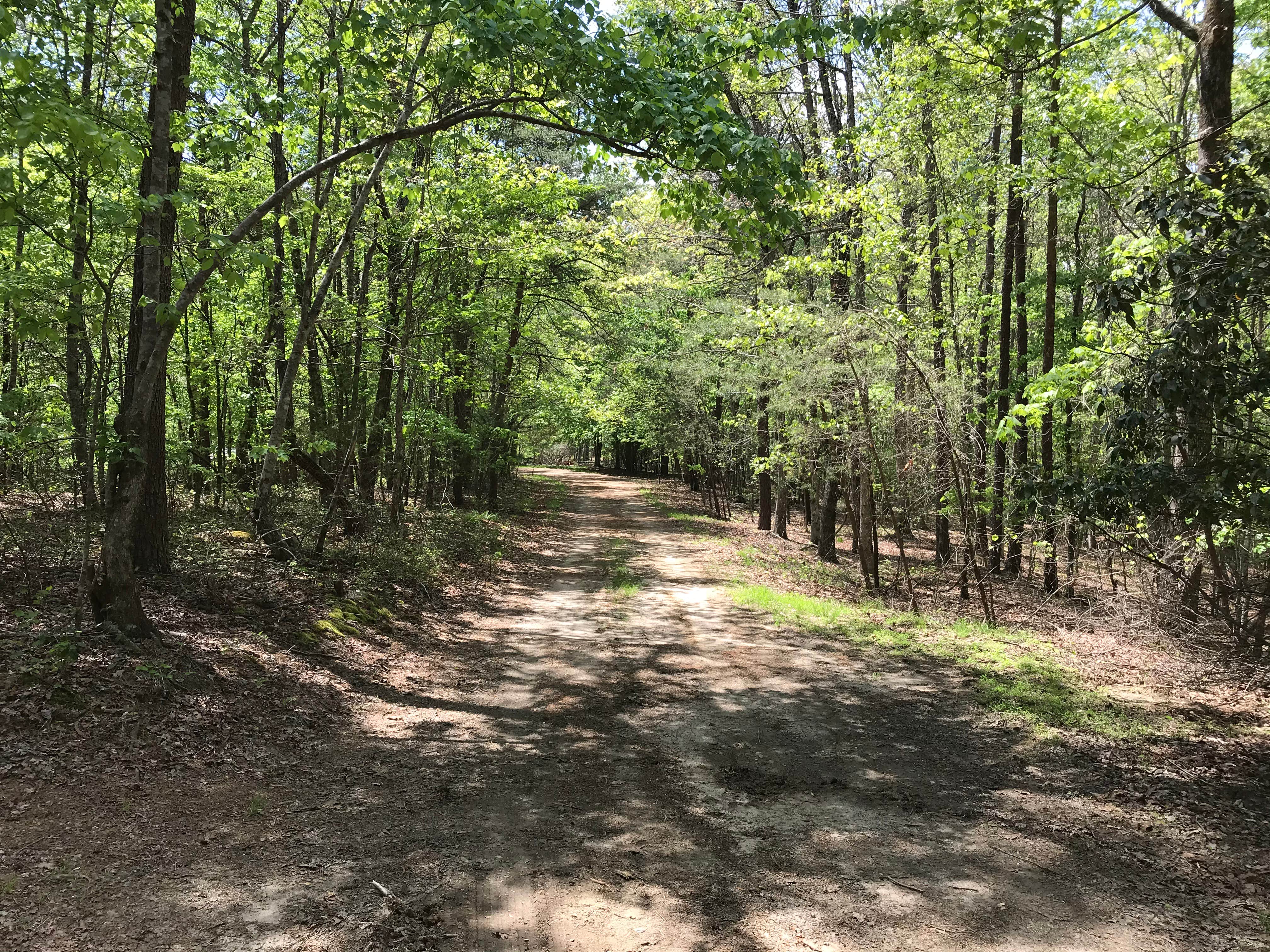 Camper submitted image from Private Wooded Camping on Pond - 1