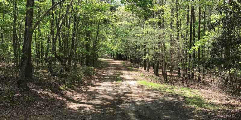 Camper submitted image from Private Wooded Camping on Pond