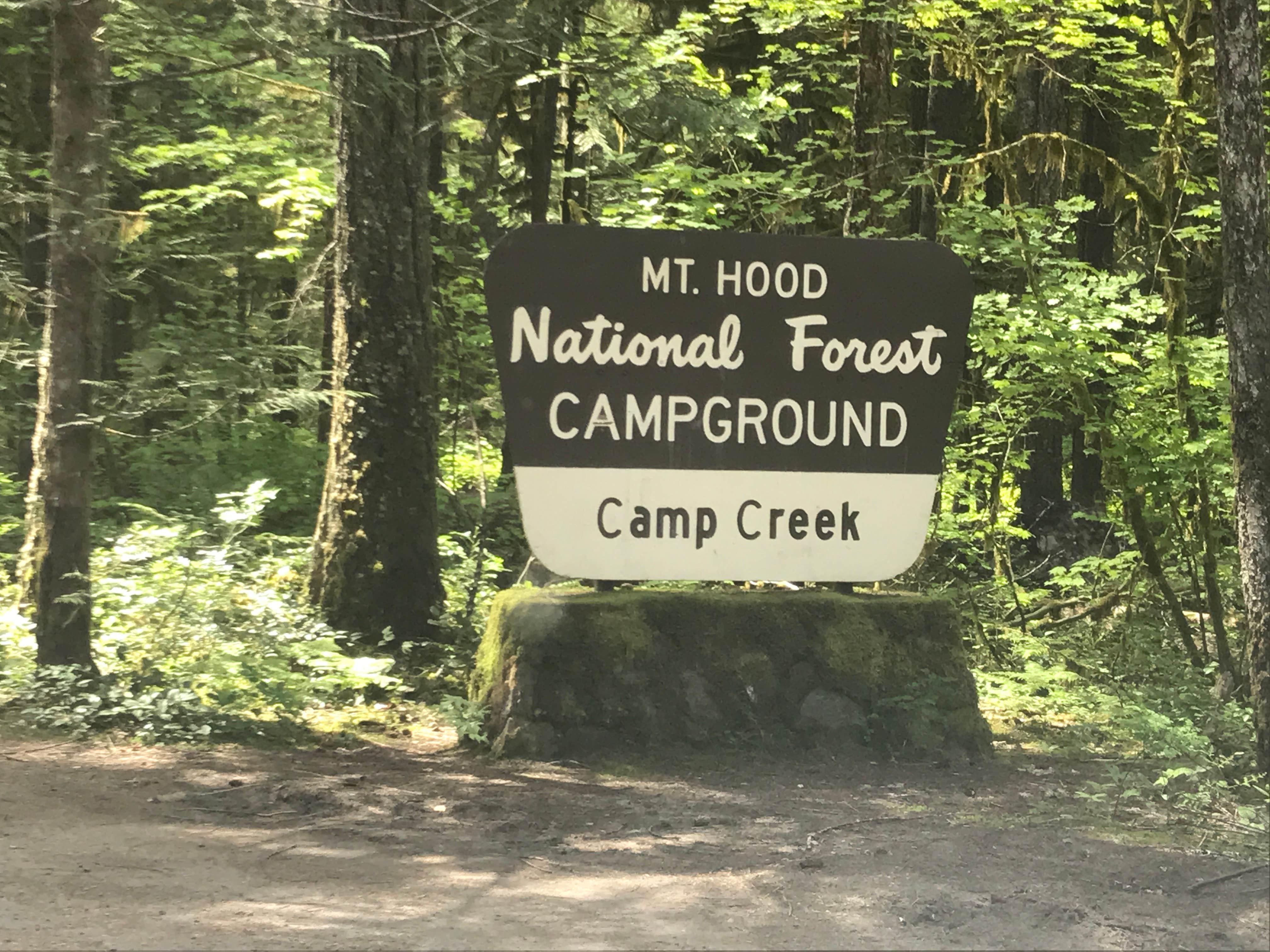 Camper submitted image from Camp Creek - 4