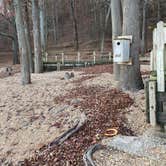 Review photo of Red Rock Trail Backcountry Shelter — Nathan Bedford Forrest State Park by Shana D., May 27, 2021